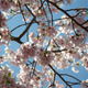 Image for article titled Shooting Challenge: Spring
